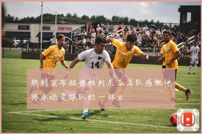 热刺宣布租借帕利尼亚离队感慨他将永远是球队的一部分